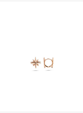 Mini Ohrringe roségold aus Messing mit Zirkonia-Sternmotiv